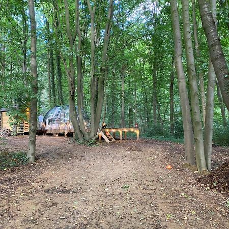 Le Dome De Namur - Une Nuit Insolite Dans Les Bois מראה חיצוני תמונה