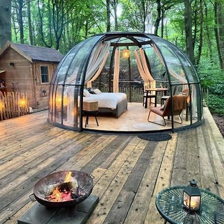 Le Dome De Namur - Une Nuit Insolite Dans Les Bois מראה חיצוני תמונה
