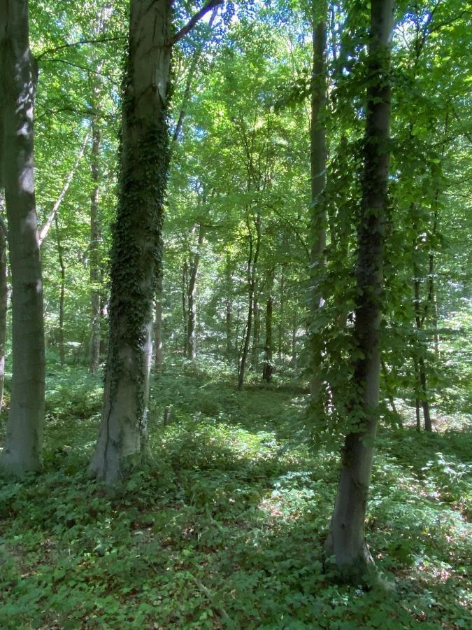 Le Dome De Namur - Une Nuit Insolite Dans Les Bois מראה חיצוני תמונה