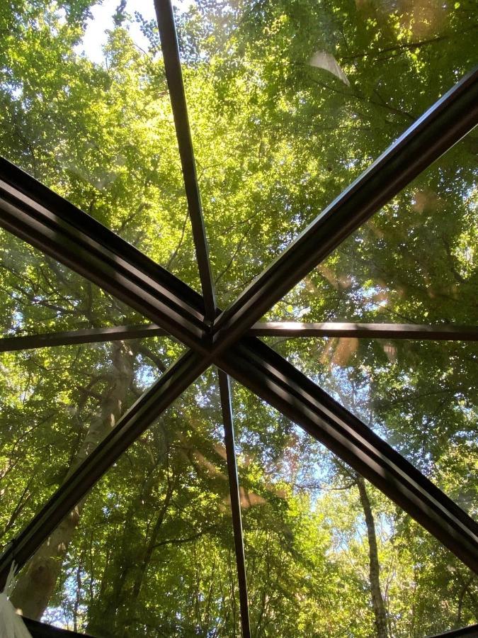 Le Dome De Namur - Une Nuit Insolite Dans Les Bois מראה חיצוני תמונה
