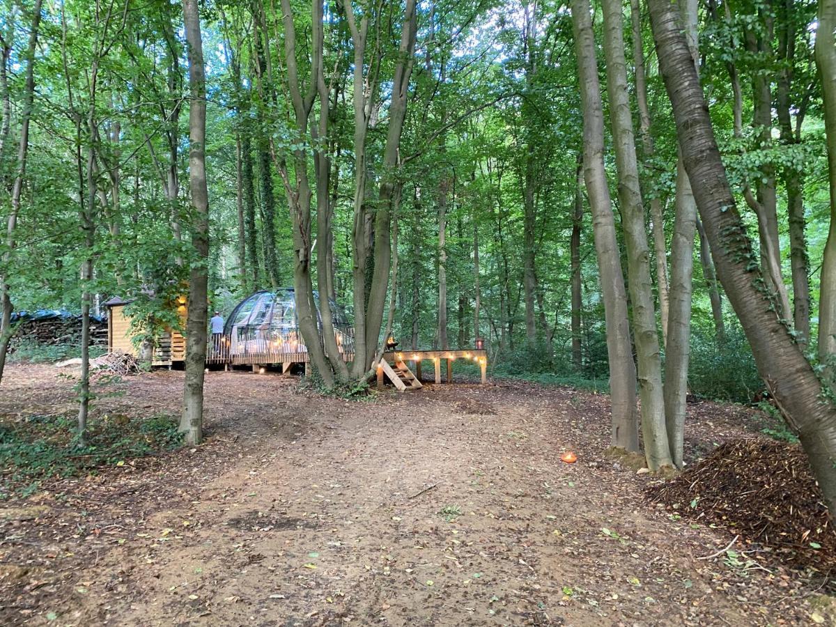 Le Dome De Namur - Une Nuit Insolite Dans Les Bois מראה חיצוני תמונה