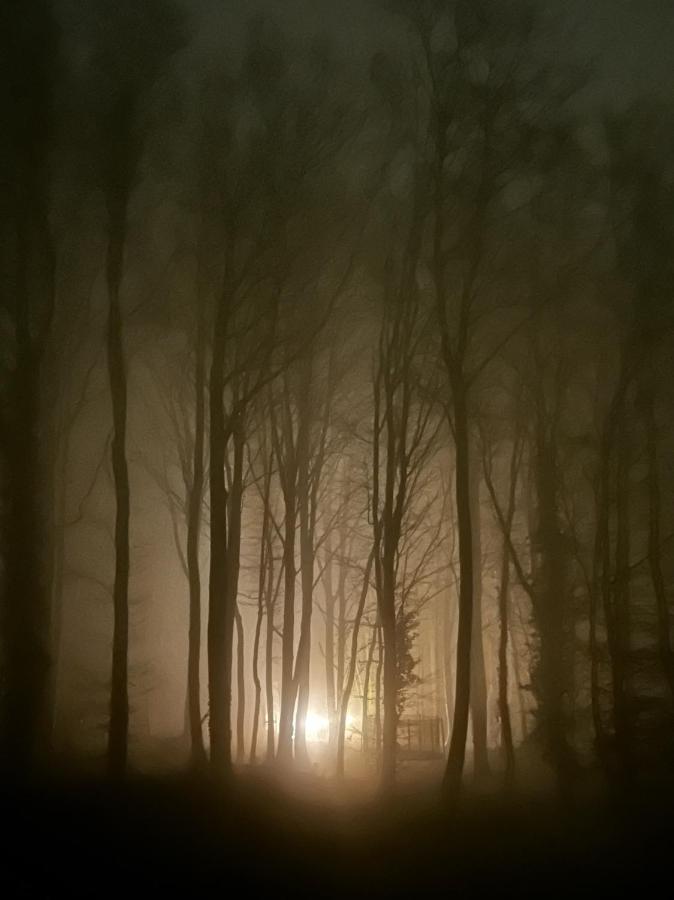 Le Dome De Namur - Une Nuit Insolite Dans Les Bois מראה חיצוני תמונה