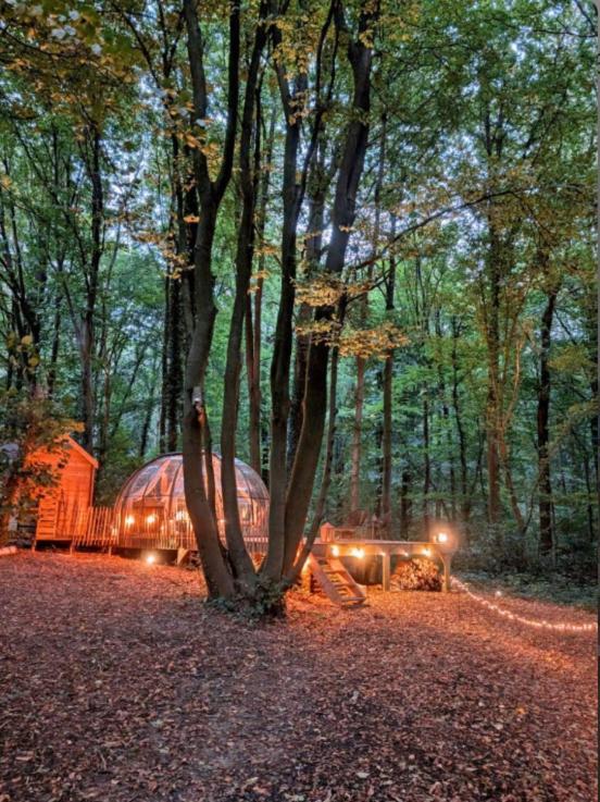 Le Dome De Namur - Une Nuit Insolite Dans Les Bois מראה חיצוני תמונה